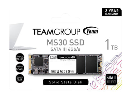 Team Group MS30 M.2 2280 1TB SATA III TLC Internal Solid State Drive (SSD) TM8PS7001T0C101