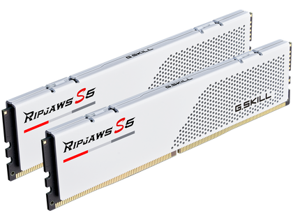 G.SKILL Ripjaws S5 Series 32GB (2 x 16GB) 288-Pin PC RAM DDR5 5600 (PC5 44800) Desktop Memory Model F5-5600J3036D16GX2-RS5W