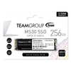 Team Group MS30 M.2 2280 256GB SATA III TLC Internal Solid State Drive (SSD) TM8PS7256G0C101