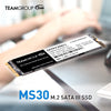 Team Group MS30 M.2 2280 256GB SATA III TLC Internal Solid State Drive (SSD) TM8PS7256G0C101