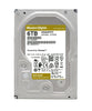 WD Gold 6TB Enterprise Class Hard Disk Drive - 7200 RPM Class SATA 6Gb/s 256MB Cache 3.5 Inch - WD6003FRYZ