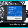 WD Blue 250GB SA510 2.5