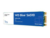 WD Blue 1TB SA510 M.2 Internal Solid State Drive SSD - WDS100T3B0B